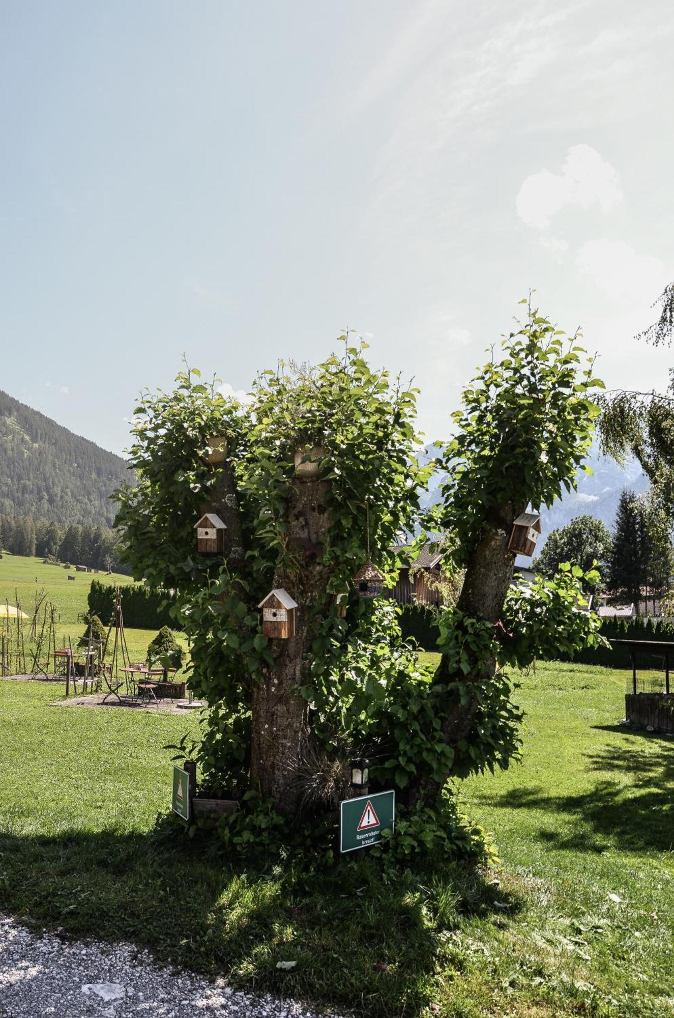 Hotel Ehrwalderhof Eksteriør bilde